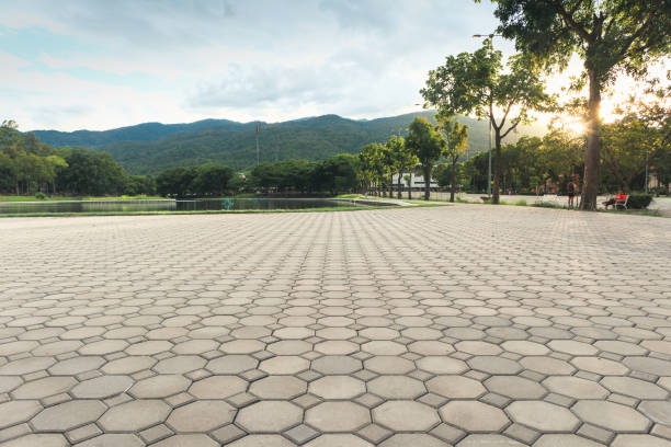 Best Driveway Pavers Near Me  in Fortuna Foothills, AZ